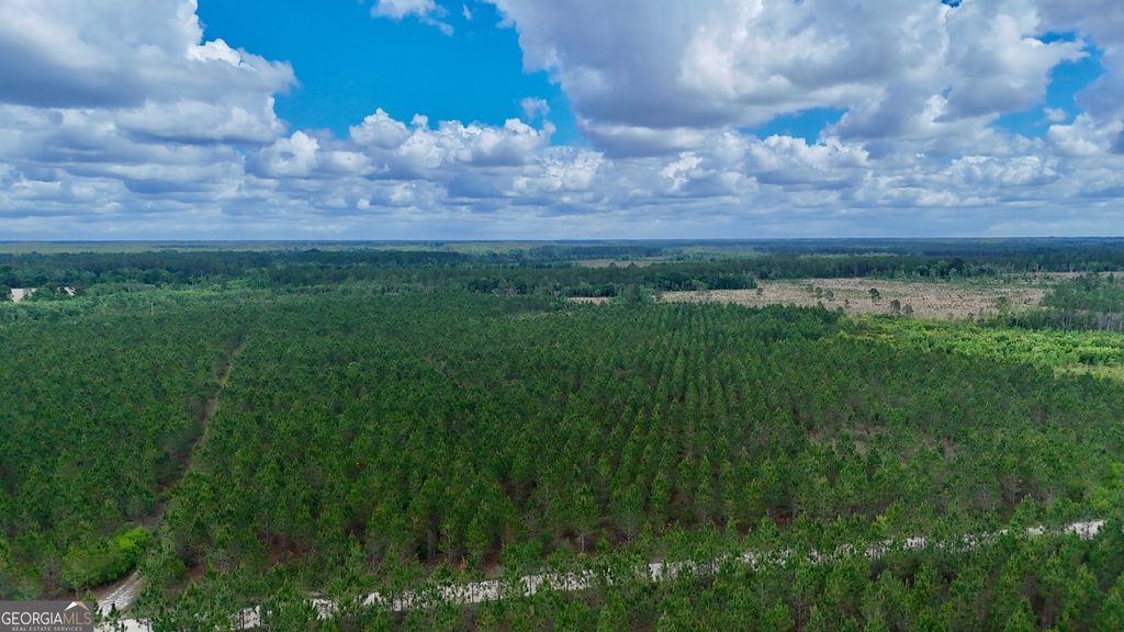 Photo of 26 Owens Road, Odum, GA 31555 (MLS # 10768675)