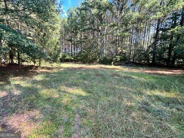 Photo of 0 Commonwealth Drive, Martin, GA 30655 (MLS # 10871654)
