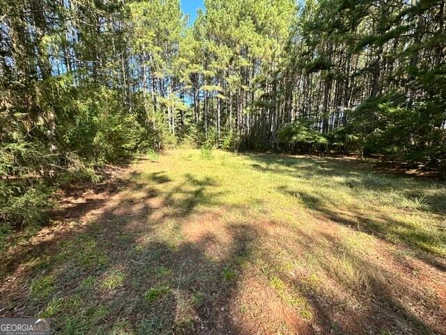 Photo of 0 Commonwealth Drive, Martin, GA 30655 (MLS # 10871654)