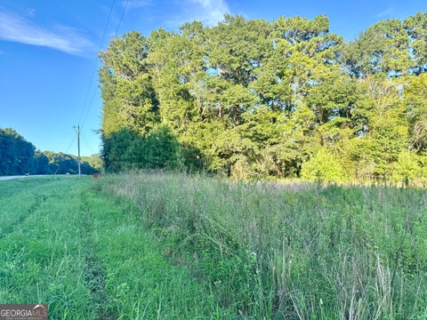 Photo of 0 Hwy 62, Blakely, GA 39823 (MLS # 10823841)