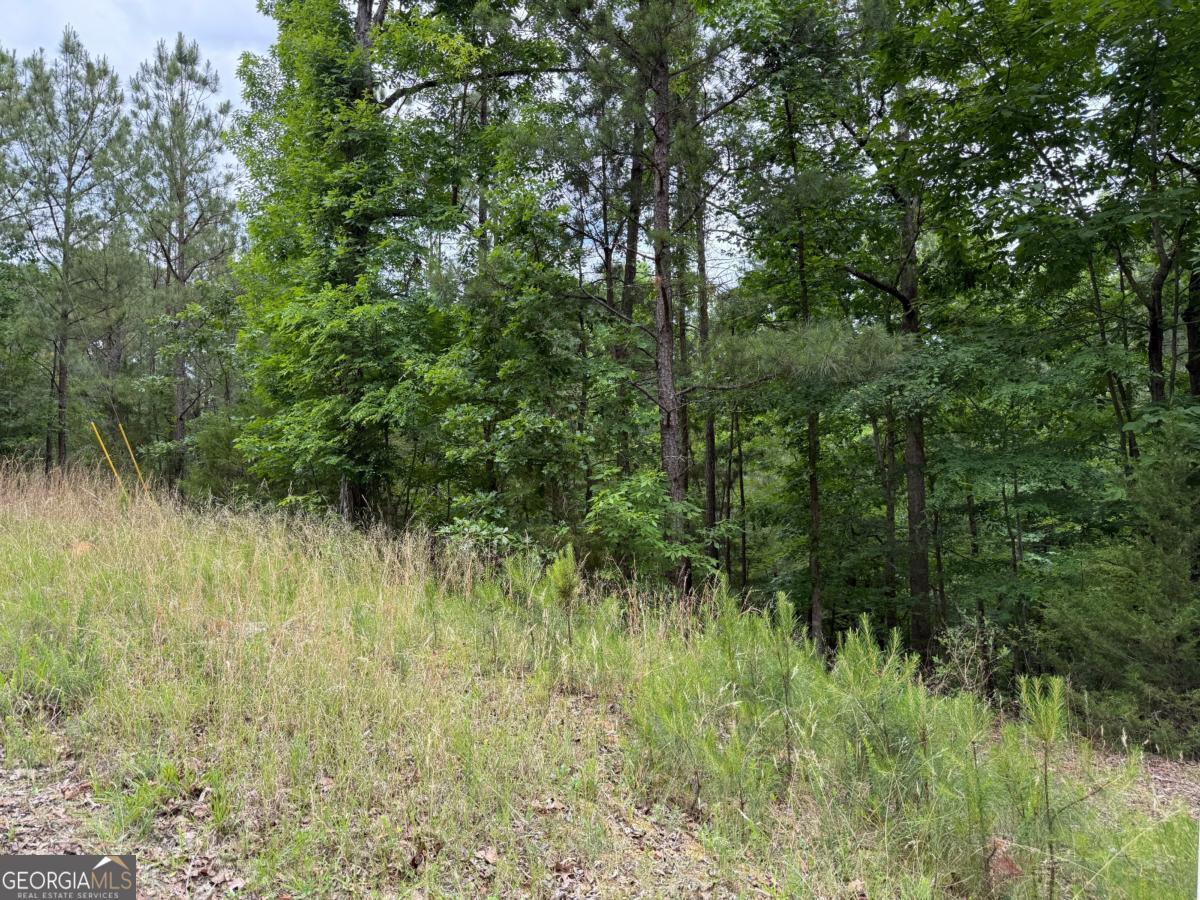 LOT 51 Bramlett Cr