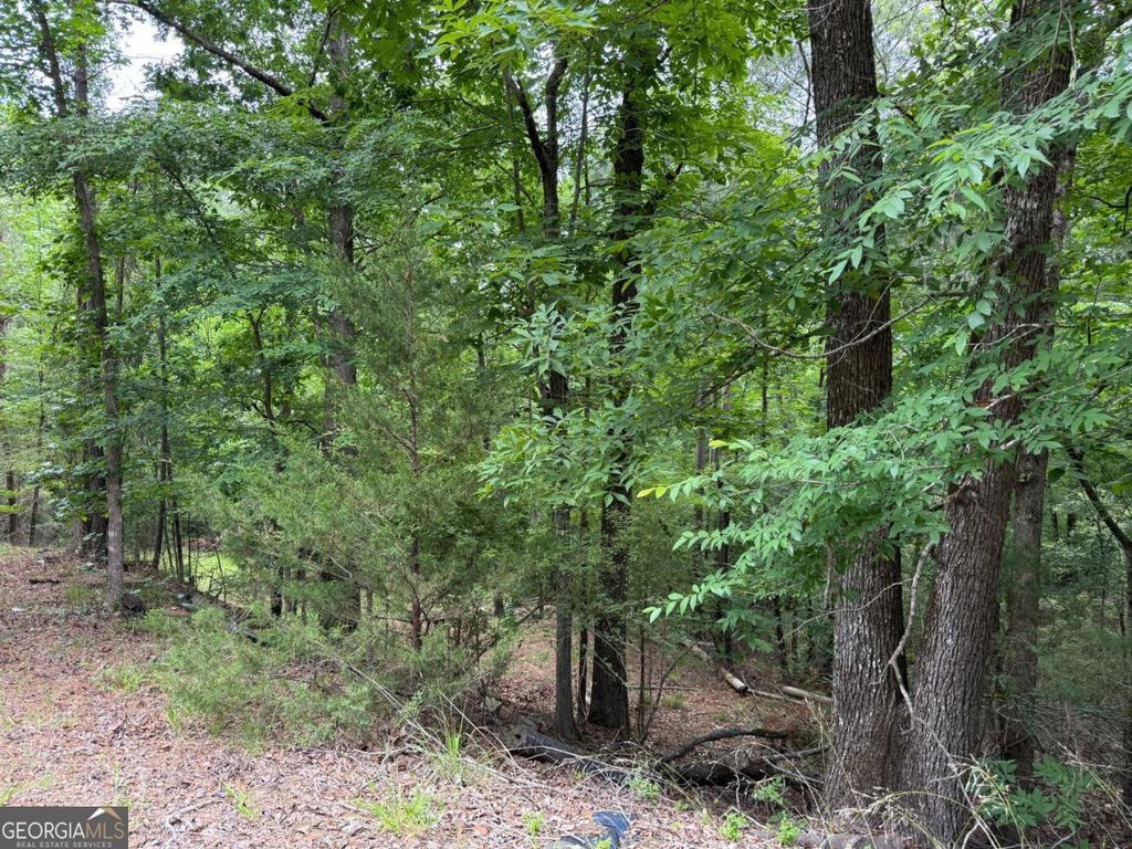 Photo of 51 Bramlett Cr, Elberton, GA 30635 (MLS # 10763838)