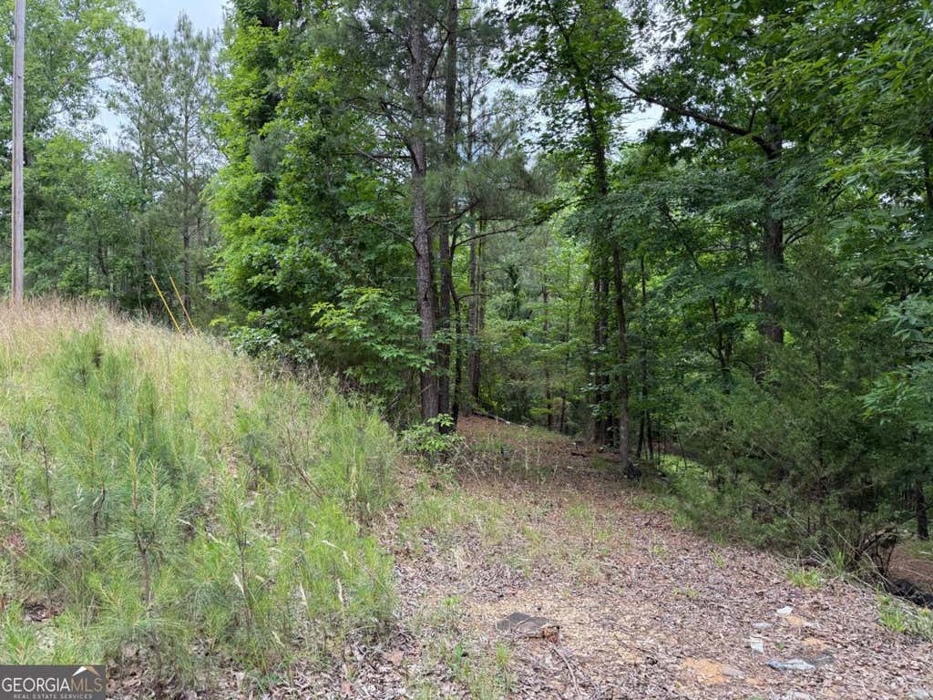 Photo of 51 Bramlett Cr, Elberton, GA 30635 (MLS # 10763838)