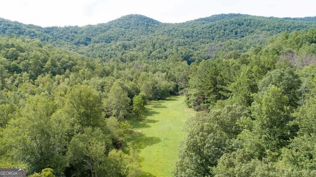 0 Highway 246, Dillard, GA, 30537