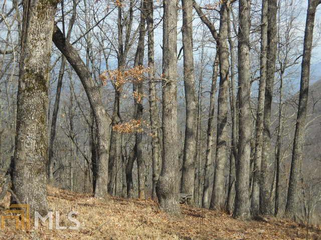 Lake Laceola - Land