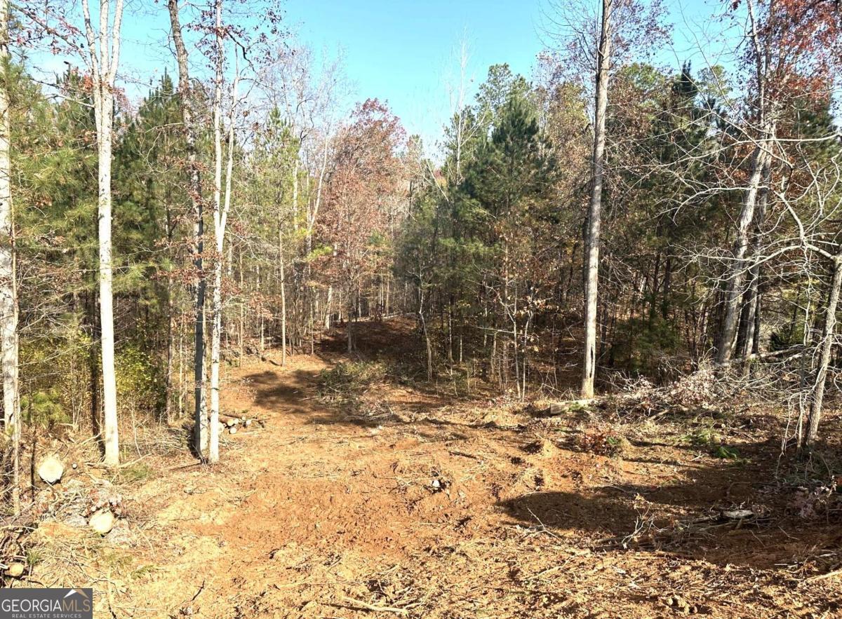 1698 Shoal Creek WAY