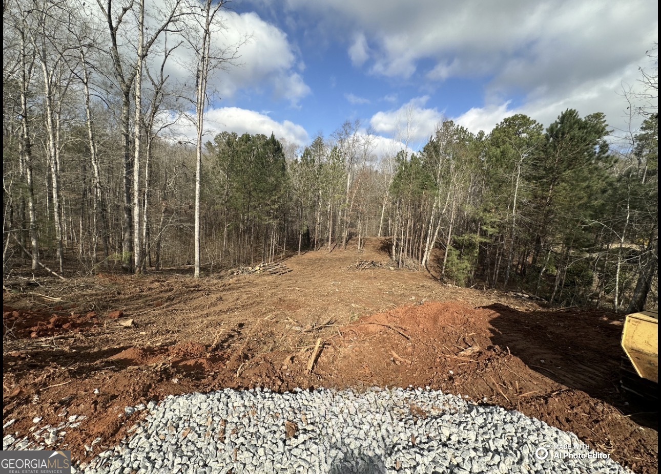 1698 Shoal Creek WAY