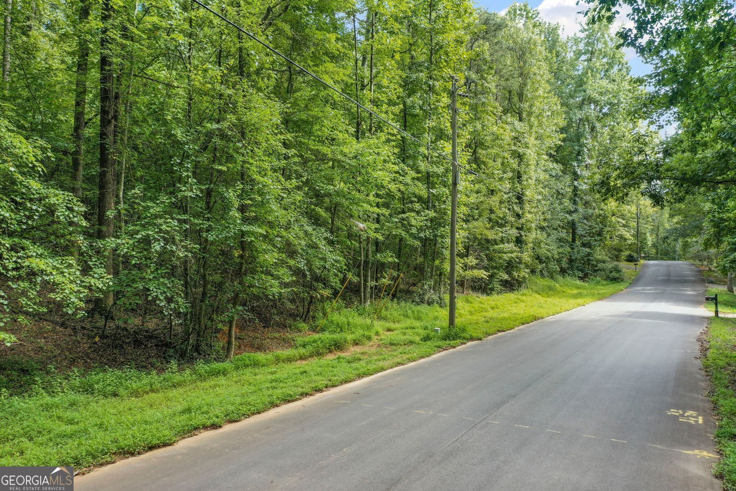 113 Hickory TRL