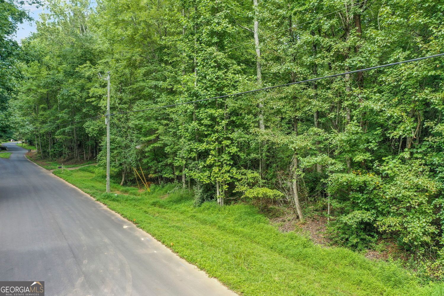 113 Hickory TRL