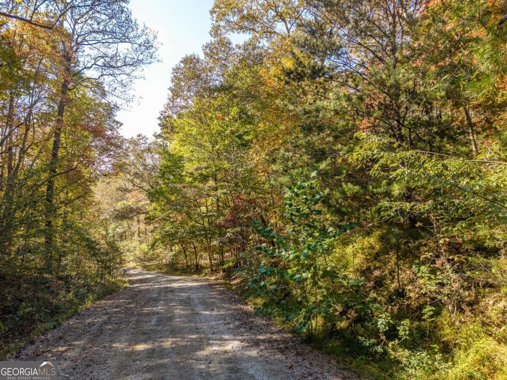 Photo of 314 Hot House Drive, Mineral Bluff, GA 30559 (MLS # 10875733)