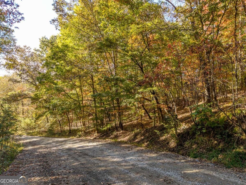 Photo of 314 Hot House Drive, Mineral Bluff, GA 30559 (MLS # 10875733)