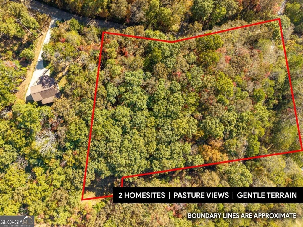 Photo of 314 Hot House Drive, Mineral Bluff, GA 30559 (MLS # 10875733)