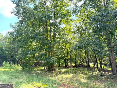 Photo of 1049 Jaybird Lane, Elberton, GA 30635 (MLS # 10610159)