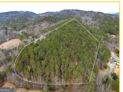 Photo of 00 Manning Mill Road, Summerville, GA 30747 (MLS # 10682088)