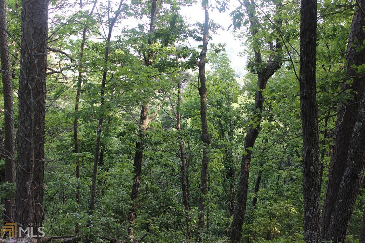 MULTIPLE PARCELS! 108 rolling wooded acres with multiple build sites. Property has access from Mt. Alto Rd. and Horseleg Creek Rd. Also contains possible Right of Way off Whippoorwill Lane to be verified. Listing agent is related to beneficiaries of sellers.