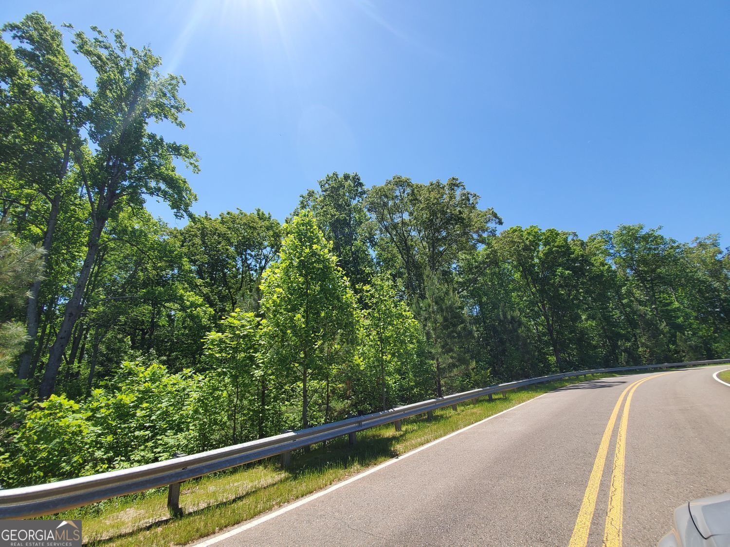 110 Hogan Pond Lane LN