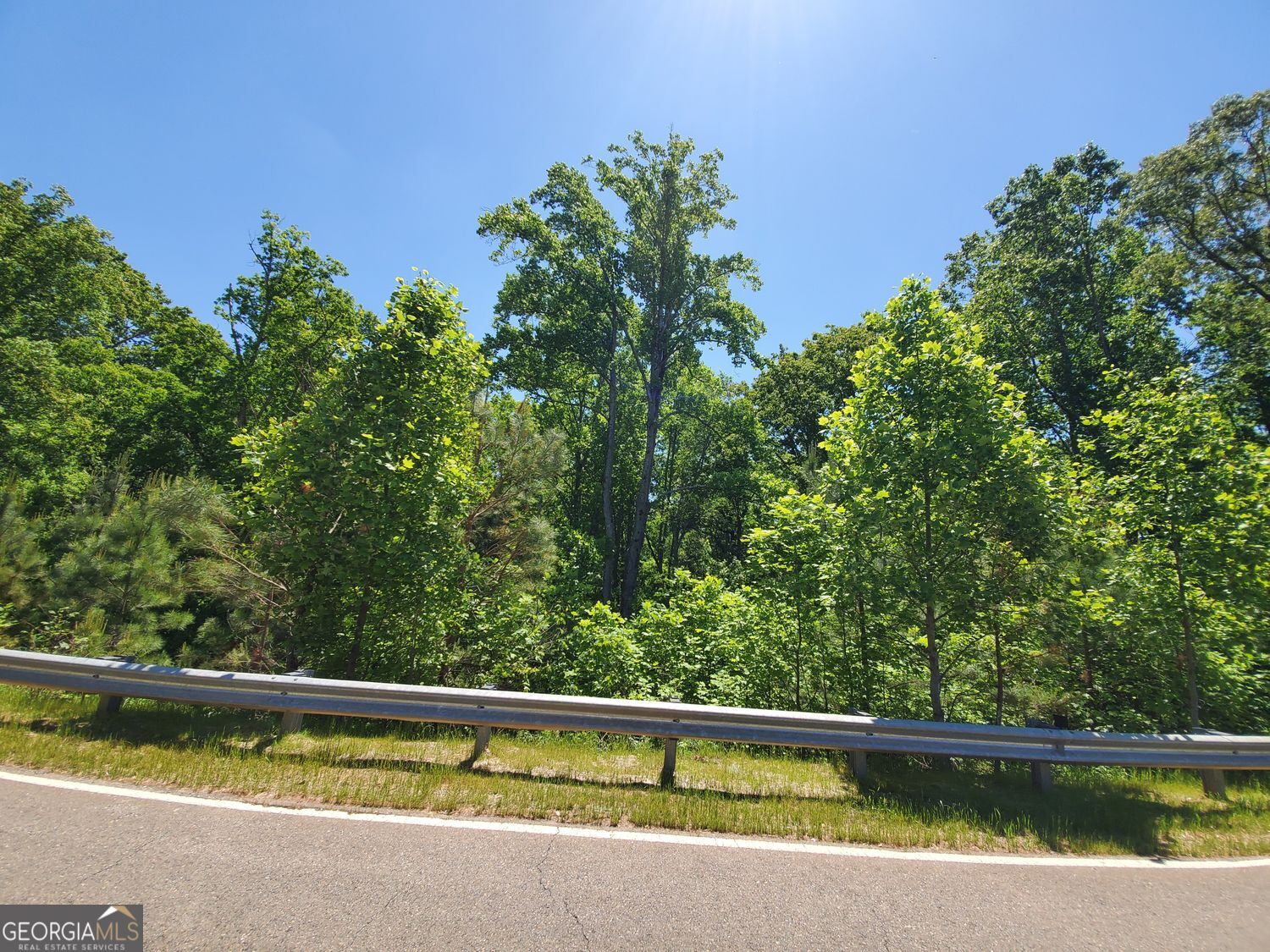 110 Hogan Pond Lane LN