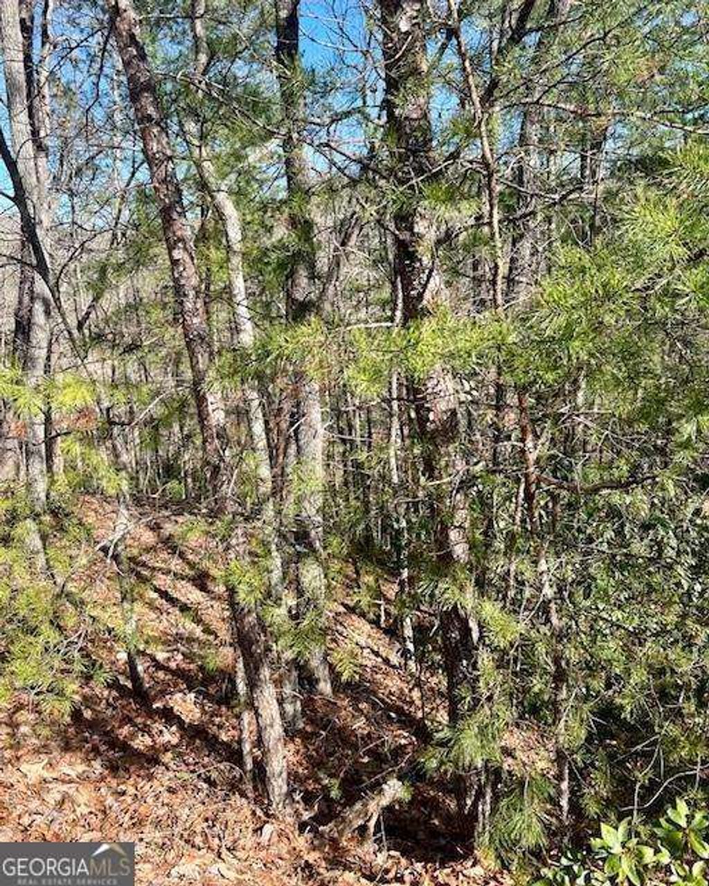 Photo of 0 Rosen Strasse, Helen, GA 30545 (MLS # 10730658)