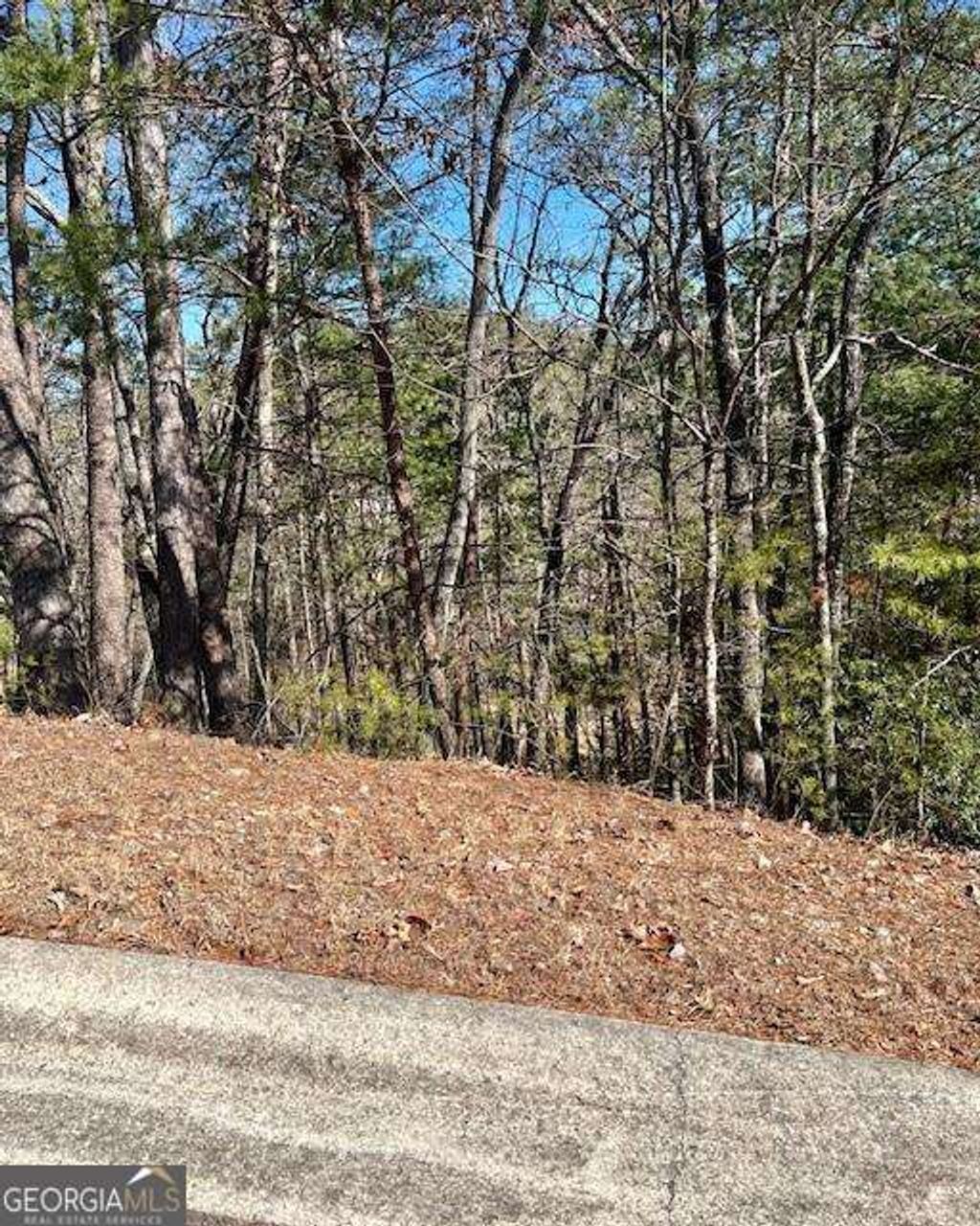 Photo of 0 Rosen Strasse, Helen, GA 30545 (MLS # 10730658)