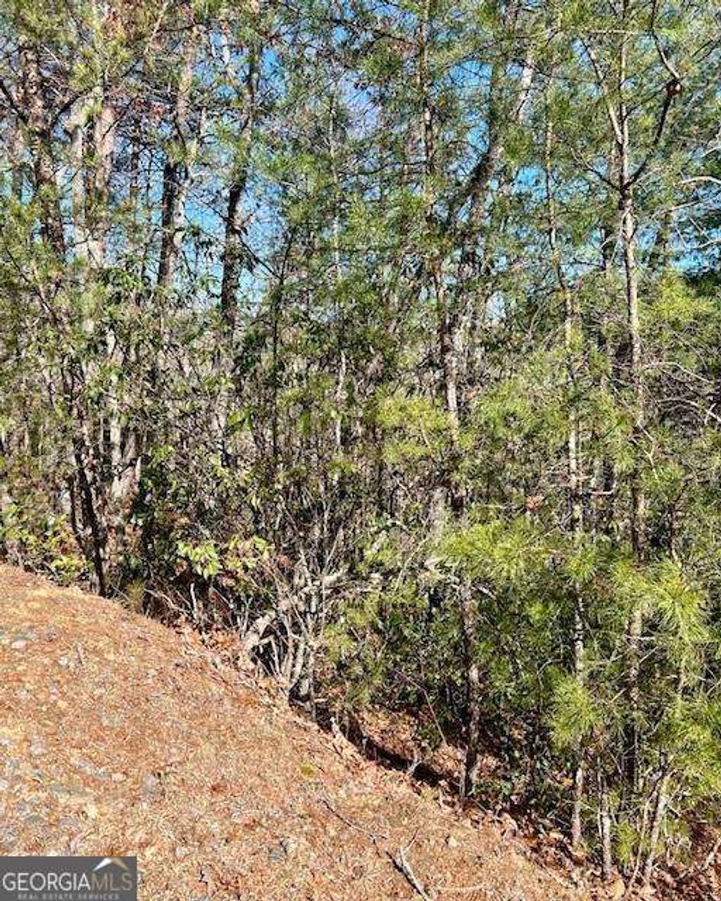 Photo of 0 Rosen Strasse, Helen, GA 30545 (MLS # 10730658)