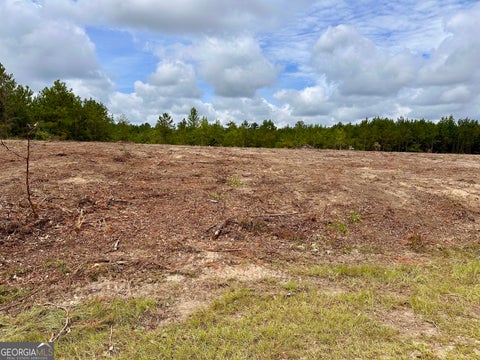 Photo of LOT A Rock Springs Road, Dublin, GA 31021 (MLS # 10807796)
