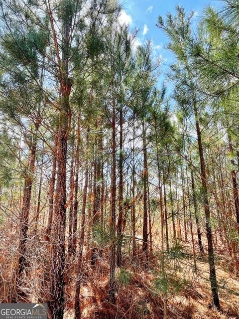 Photo of 0 Brinkley Road, Barnesville, GA 30204 (MLS # 10708515)