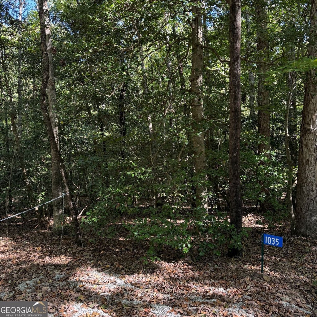 Photo of 1035 Holly Hills Drive, hartwell, GA 30643 (MLS # 10878161)