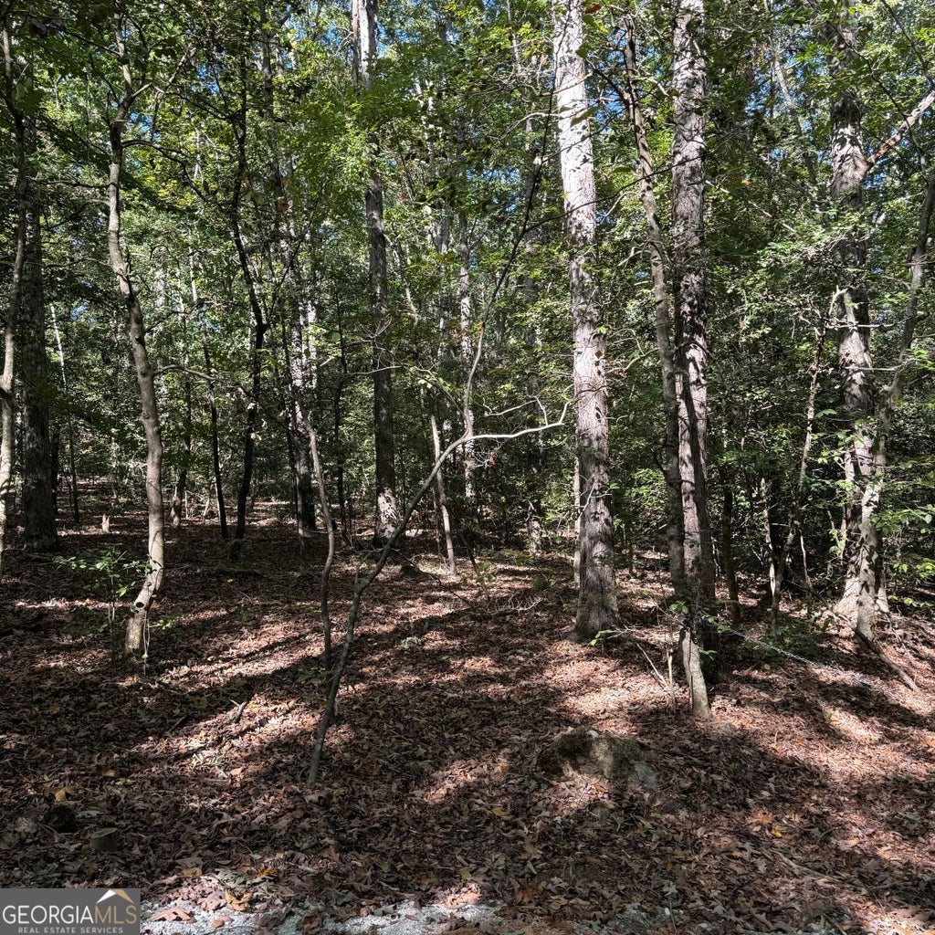 Photo of 1035 Holly Hills Drive, hartwell, GA 30643 (MLS # 10878161)