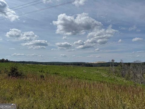 Photo of 2398 Myricks Mill Road, Jeffersonville, GA 31044 (MLS # 10617163)