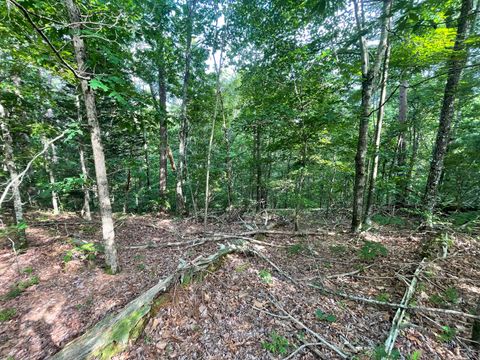 Photo of 88 Muslin Drive NE, Ranger, GA 30734 (MLS # 10182263)