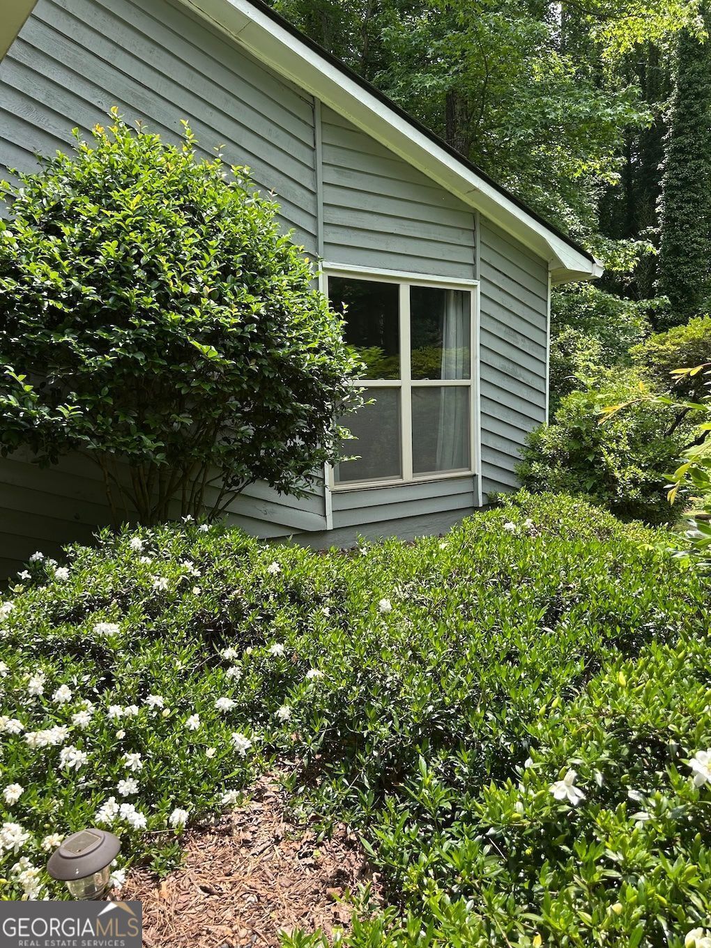 JAMERSON FOREST - Residential