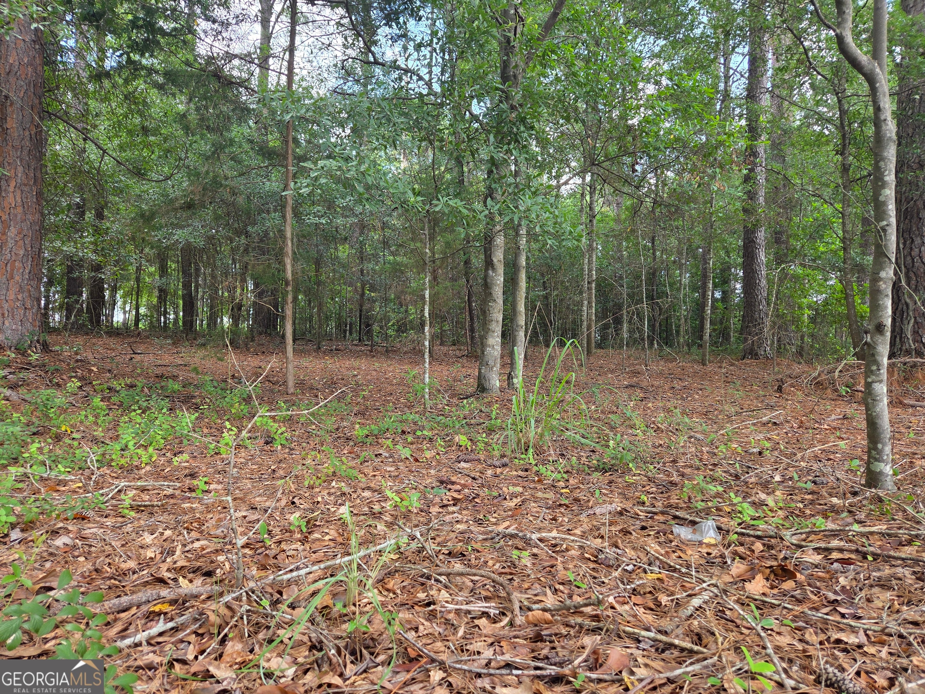 0 Fairway LN