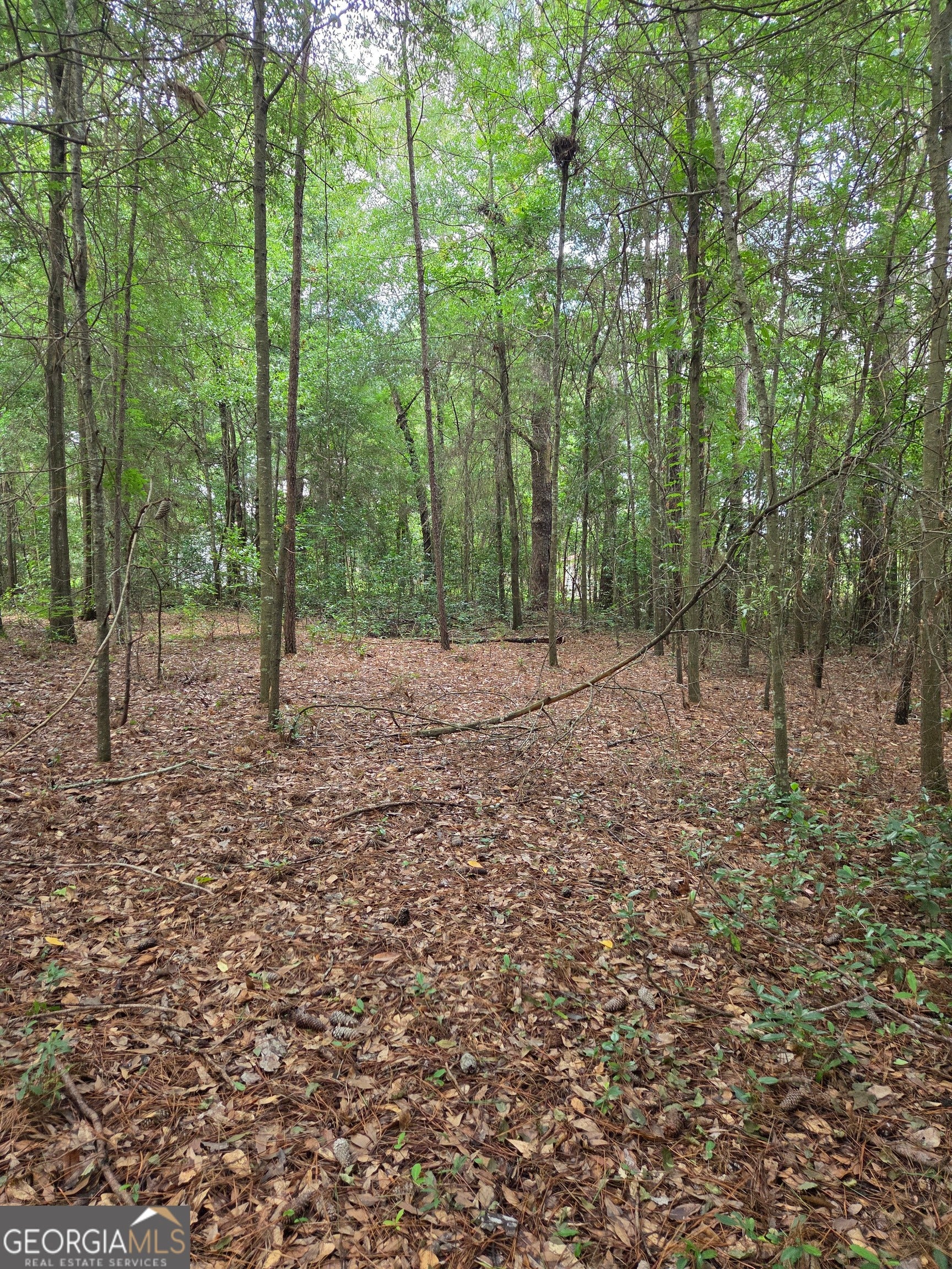 0 Fairway LN