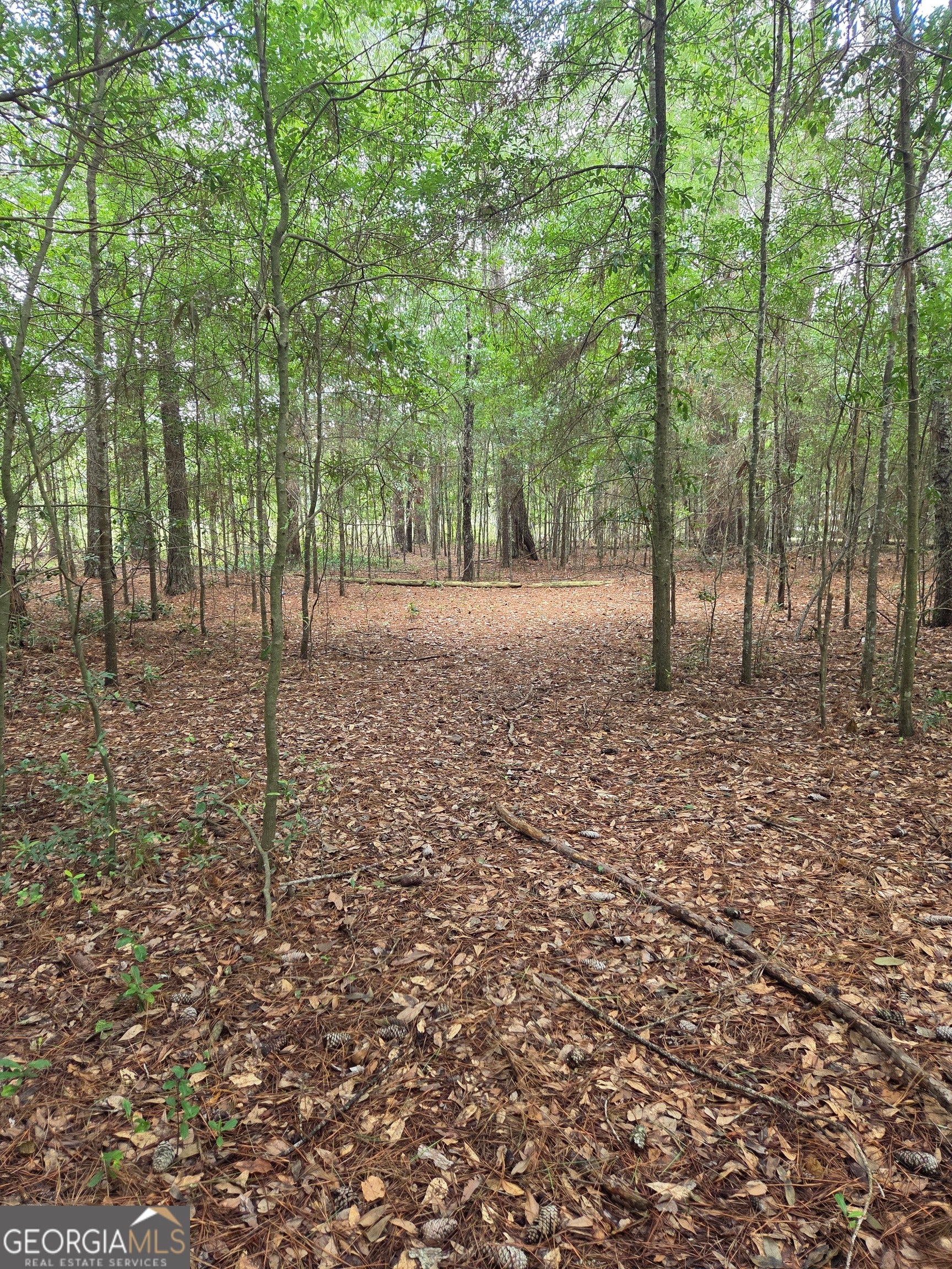 0 Fairway LN