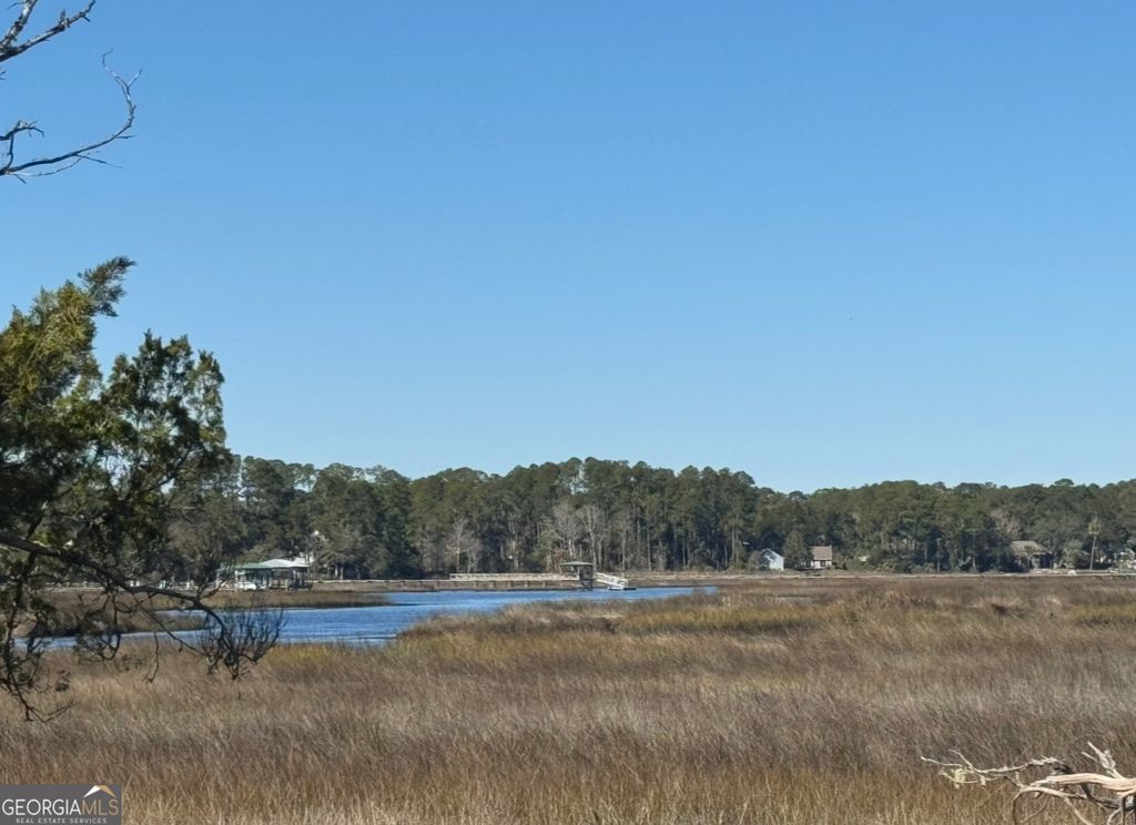 Photo of 0 Riverview East Drive #49, St. Marys, GA 31558 (MLS # 10675078)