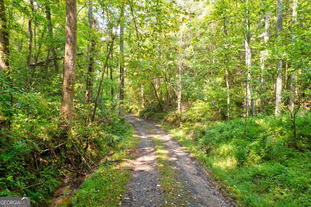 Photo of 21 Charles Road #1, Ellijay, GA 30540 (MLS # 10676053)