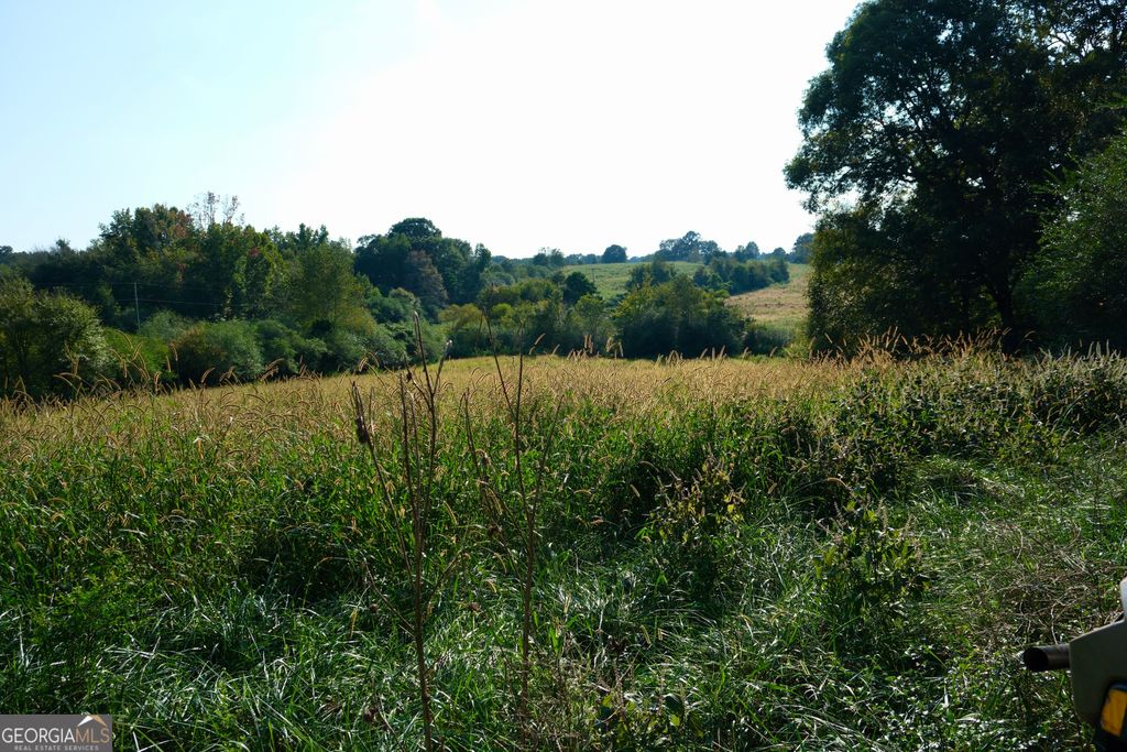 Photo of 14 W L Williams Road, Commerce, GA 30530 (MLS # 10738348)