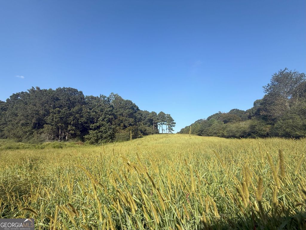 Photo of 14 W L Williams Road, Commerce, GA 30530 (MLS # 10738348)