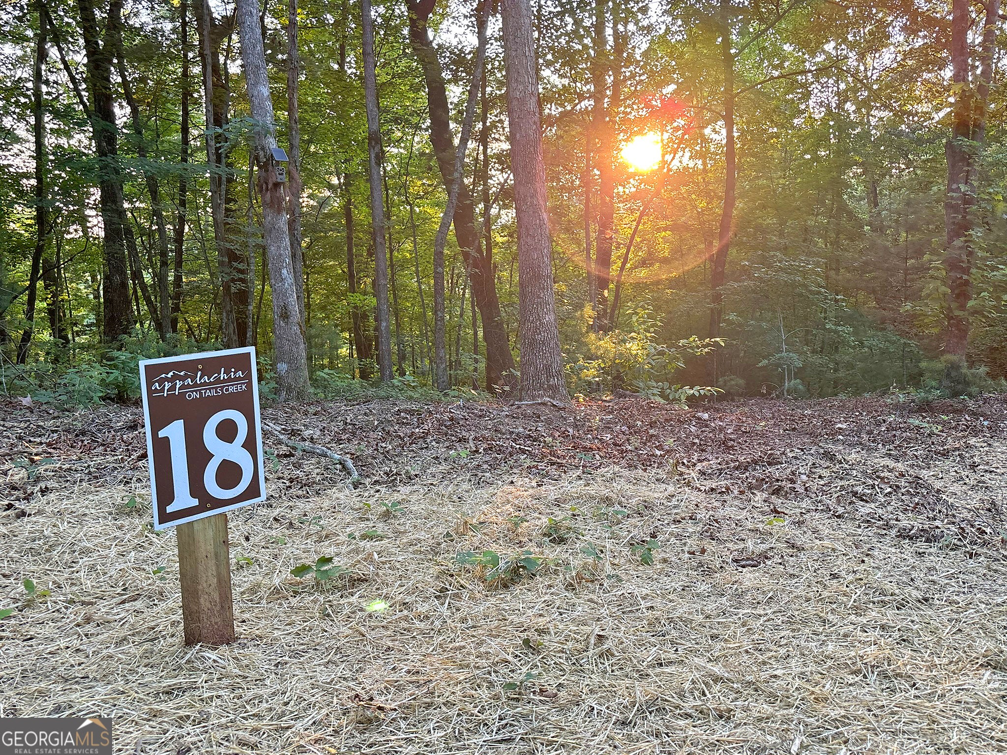 LOT 18 Mt. Springer RD