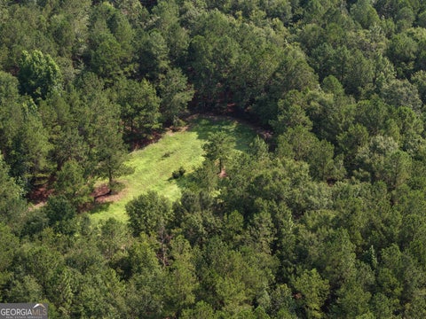 Photo of 0 Sassertown Road, Rocky Ford, GA 30455 (MLS # 10809322)