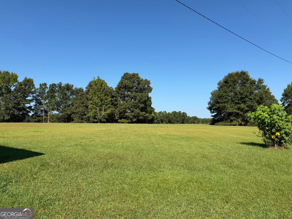 Photo of 1878 Jesse Cole Road, Manchester, GA 31816 (MLS # 10838783)