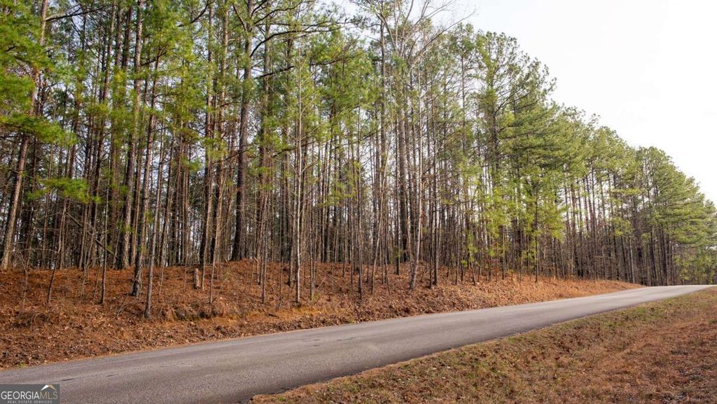Photo of 0 Doke Cohran Road, Dallas, GA 30157 (MLS # 10698418)