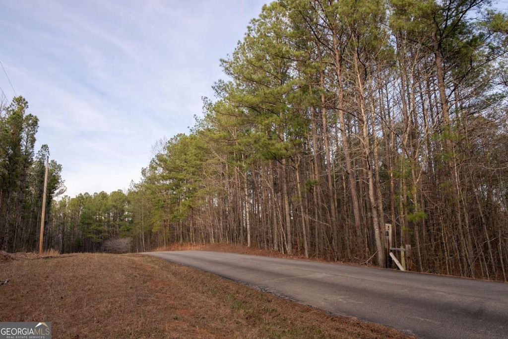 Photo of 0 Doke Cohran Road, Dallas, GA 30157 (MLS # 10698418)