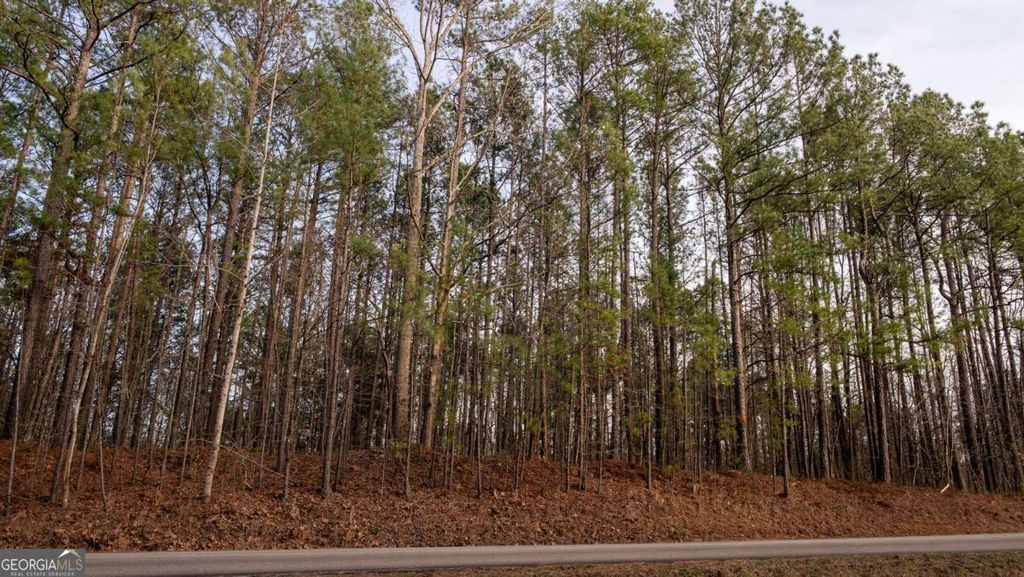 Photo of 0 Doke Cohran Road, Dallas, GA 30157 (MLS # 10698418)