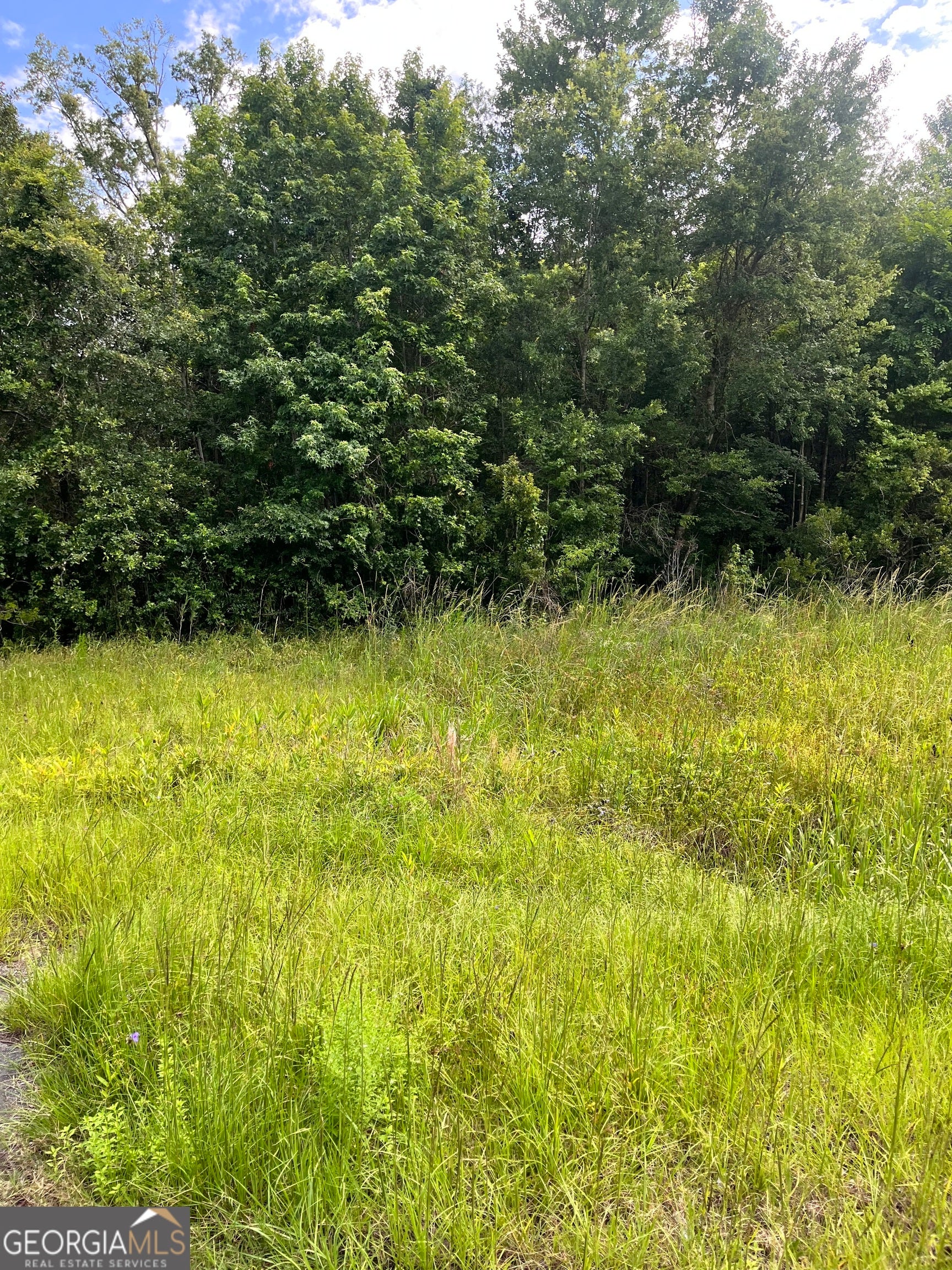 0 Oglethorpe East HWY