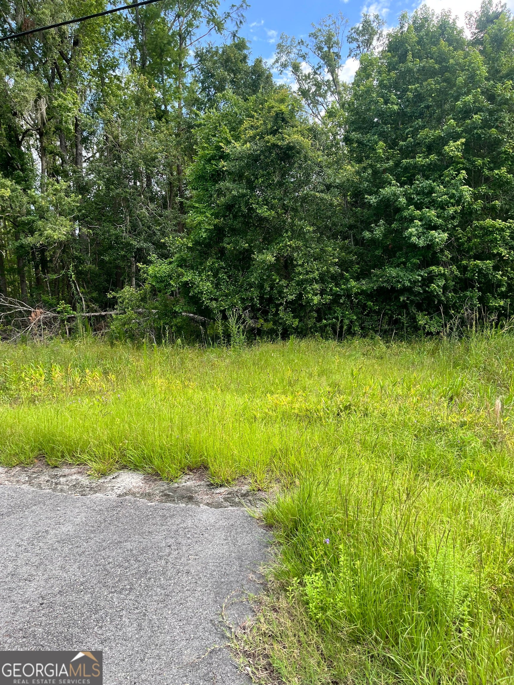 0 Oglethorpe East HWY