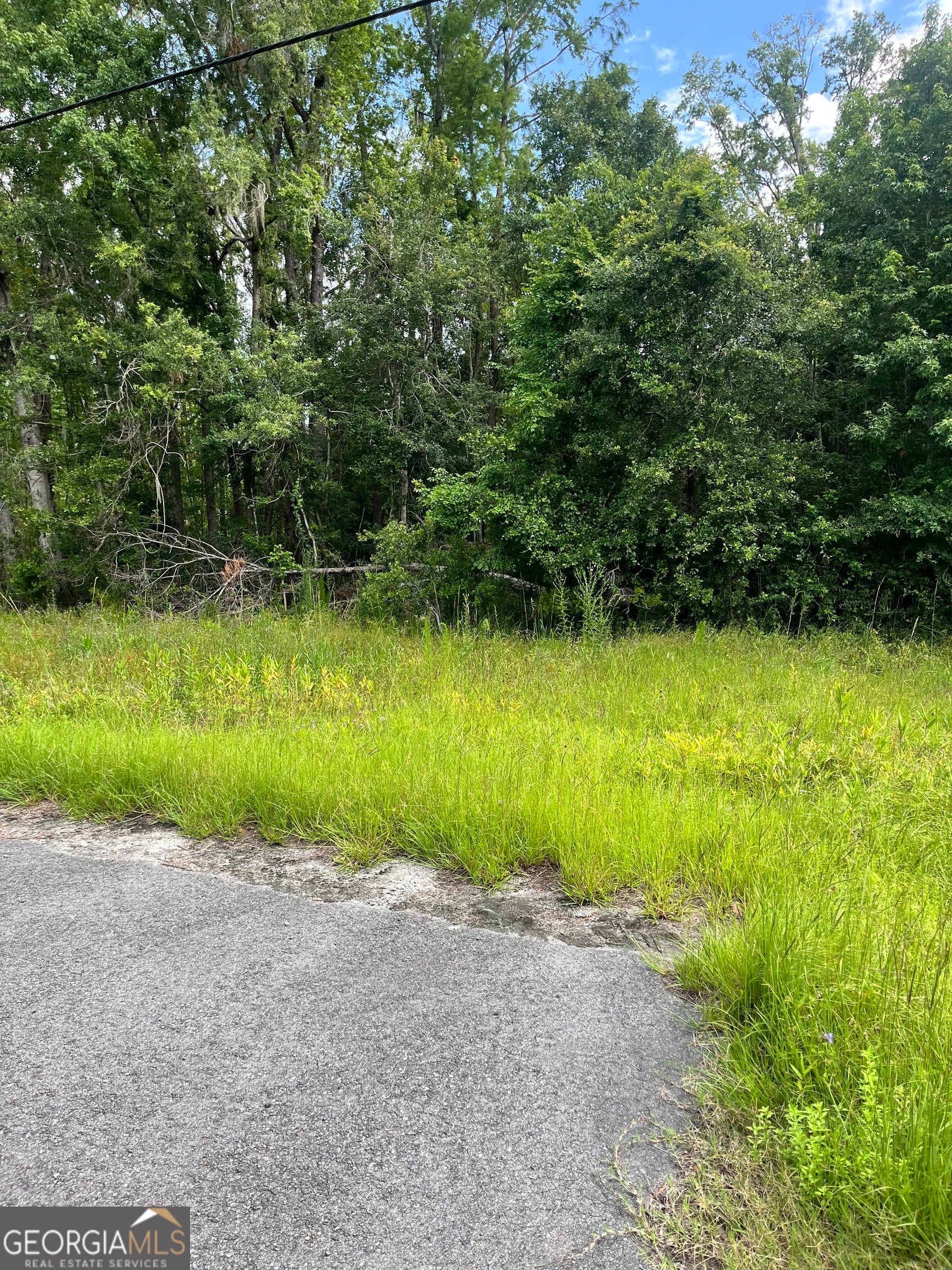 0 Oglethorpe East HWY