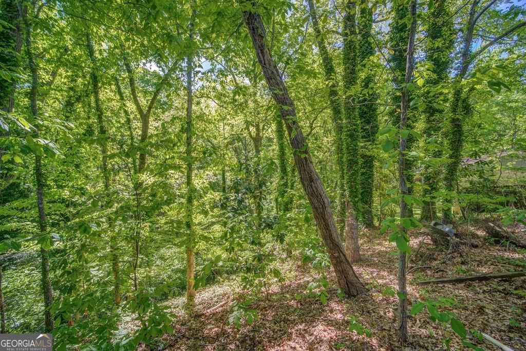 Lake Ranch Estates - Land