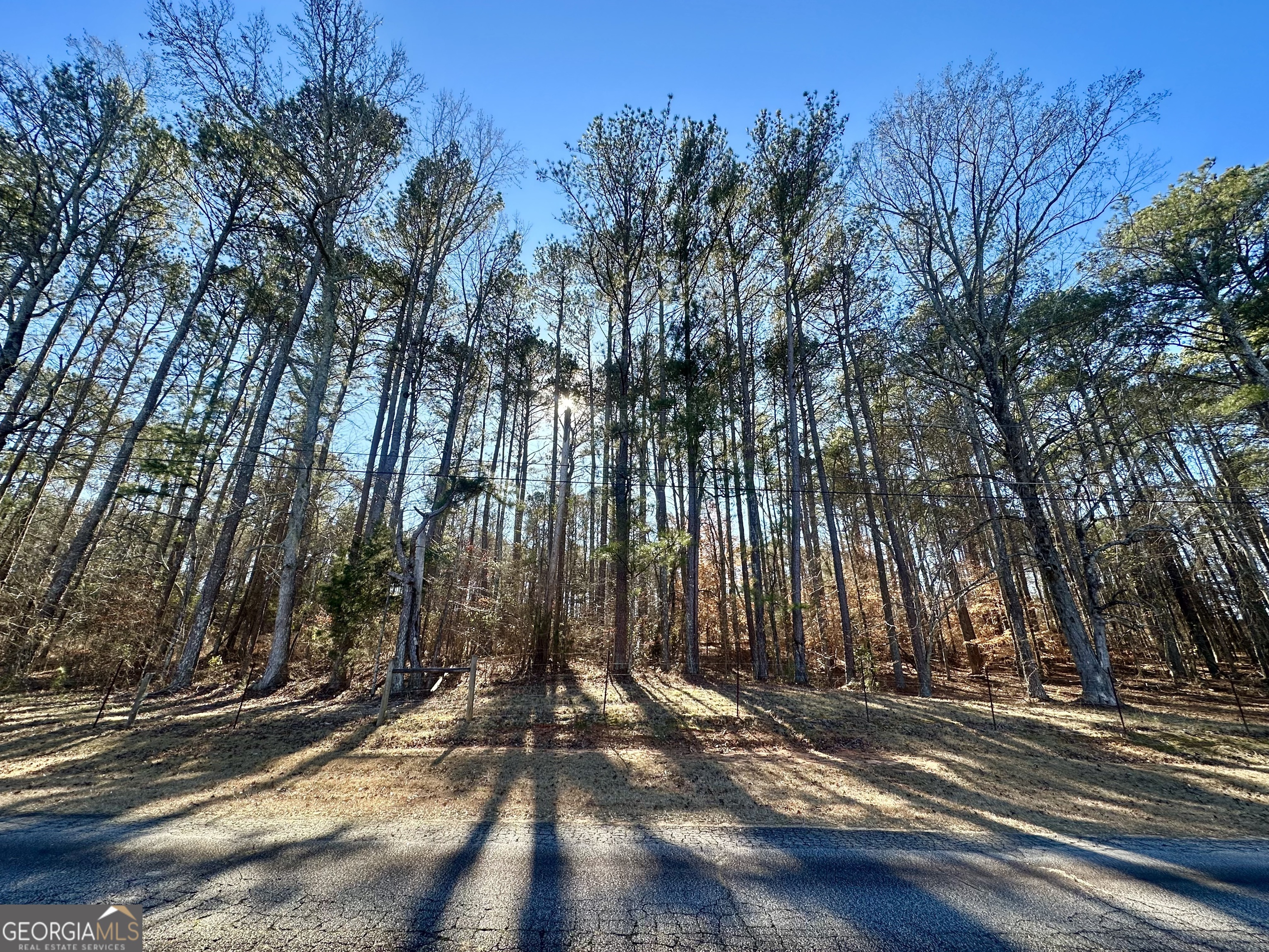 Beautiful, wooded, 2.74 acre lot in Oxford with mature trees. Fenced at the road. Quiet street.