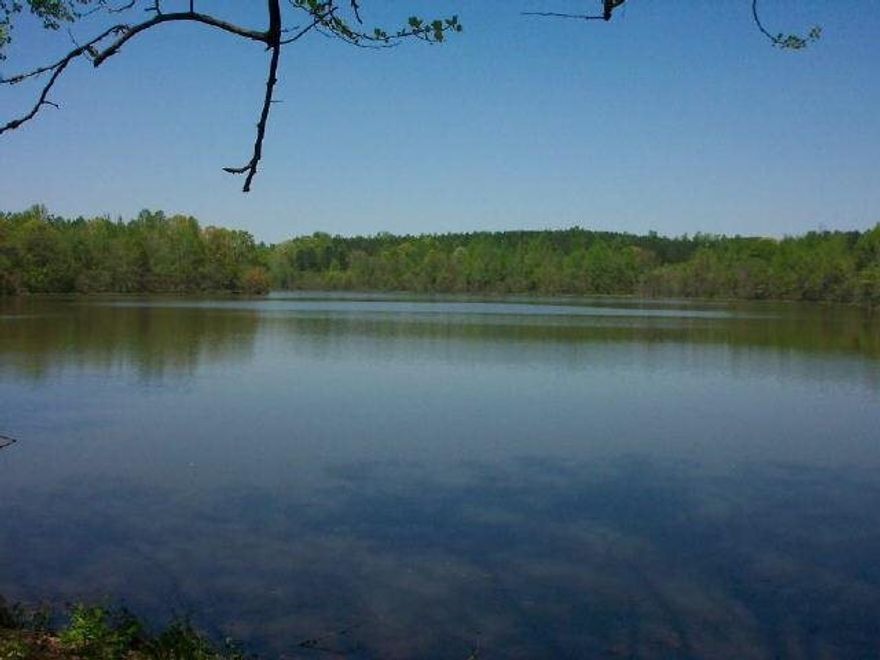 LOCATION! LOCATION! LOCATION! 255+/- ACRES FRONTING ON I-85 & WALT SANDERS RD BETWEEN SHENANDOAH & PATILLO INDUSTRIAL PARKS BETWEEN EXITS 47 & 51 OF I-85. SEWER LINE AND LIFE STATION IN PLACE W/UP TO 100,000 GALLON/MIN CAPACITY AVAILABLE, FOR COMMERCIAL AND INDUSTRIAL USE ONLY . OWNER/AGENT. BUYER MUST ASSUME CONSERVATION USE FOR TAXES OR PAY ANY PENALTY. AT SITE ON PROPOSED NEW INTERCHANGE ON I-85. 4761.12' FRONTAGE ON WALT SANDERS RD & 2742.63' FRONTAGE ON I-85.
